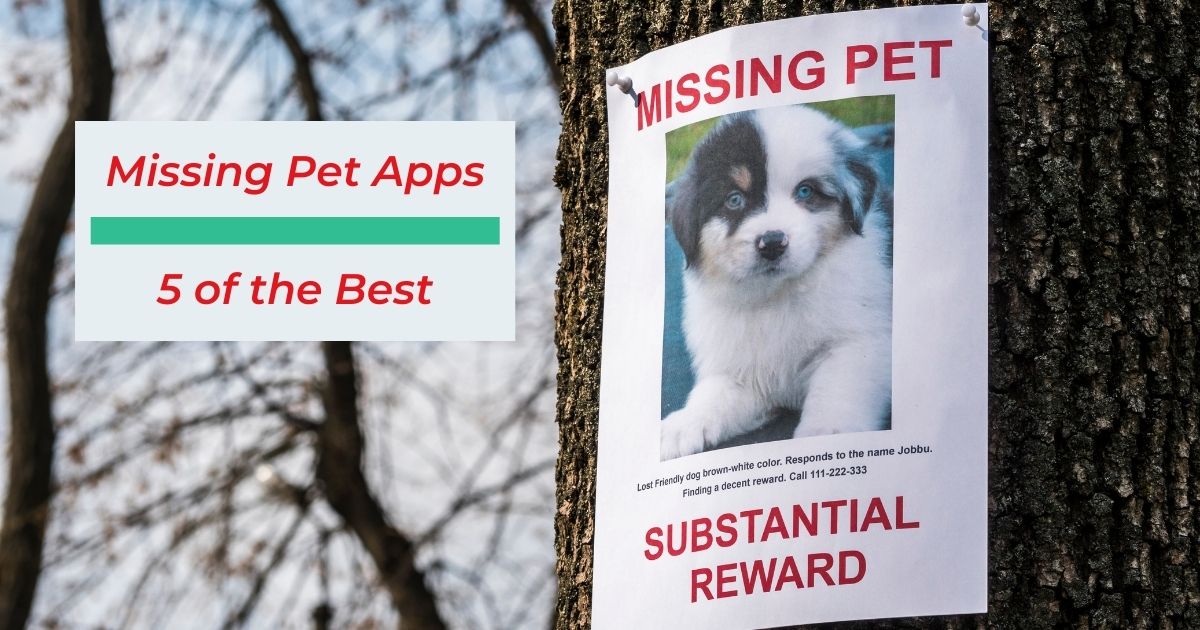 Missing Pet Apps – 5 of the Best 2023 - I Love Veterinary