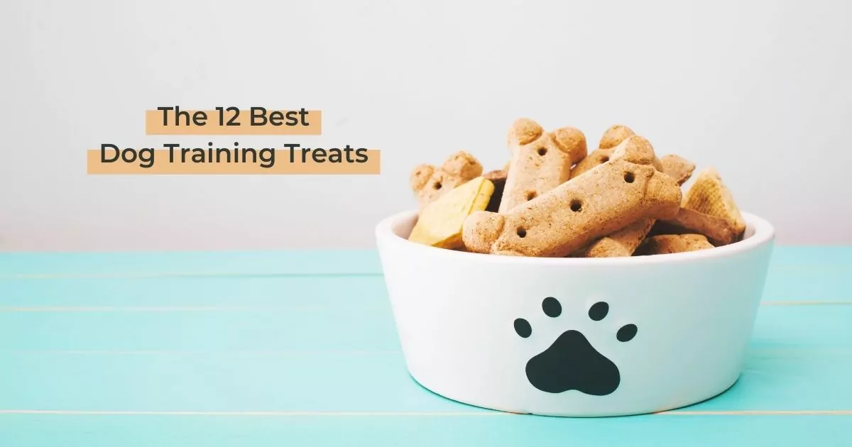 The 12 Best Dog Training Treats - I Love Veterinary