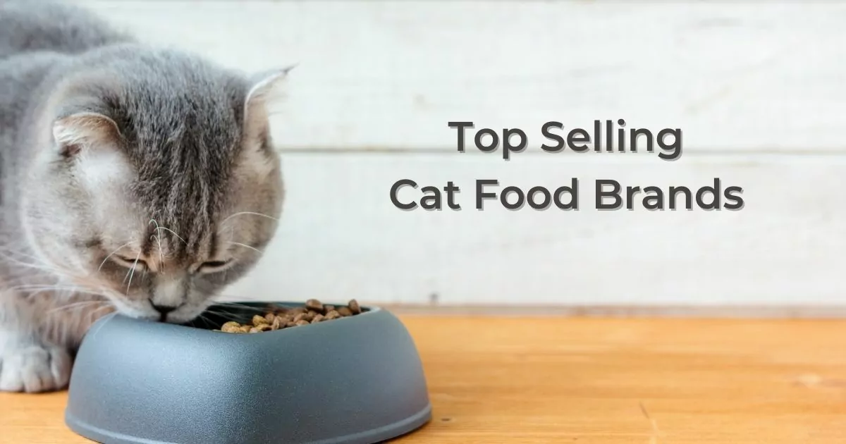 Top Selling Cat Food Brands by I Love Veterinary on chewy.com and dog.com by i love veterinary