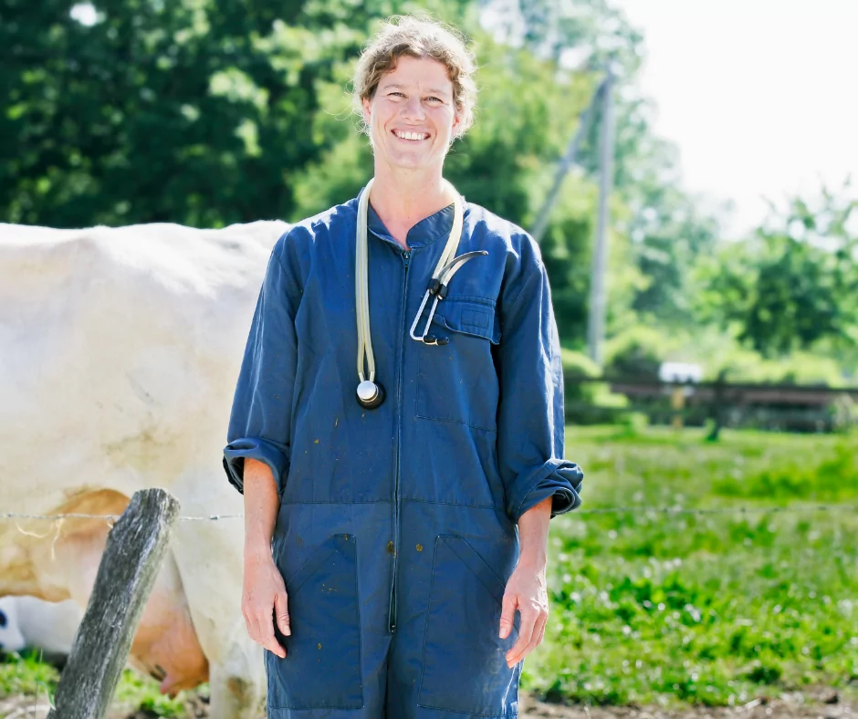 Female veterinarian with cows