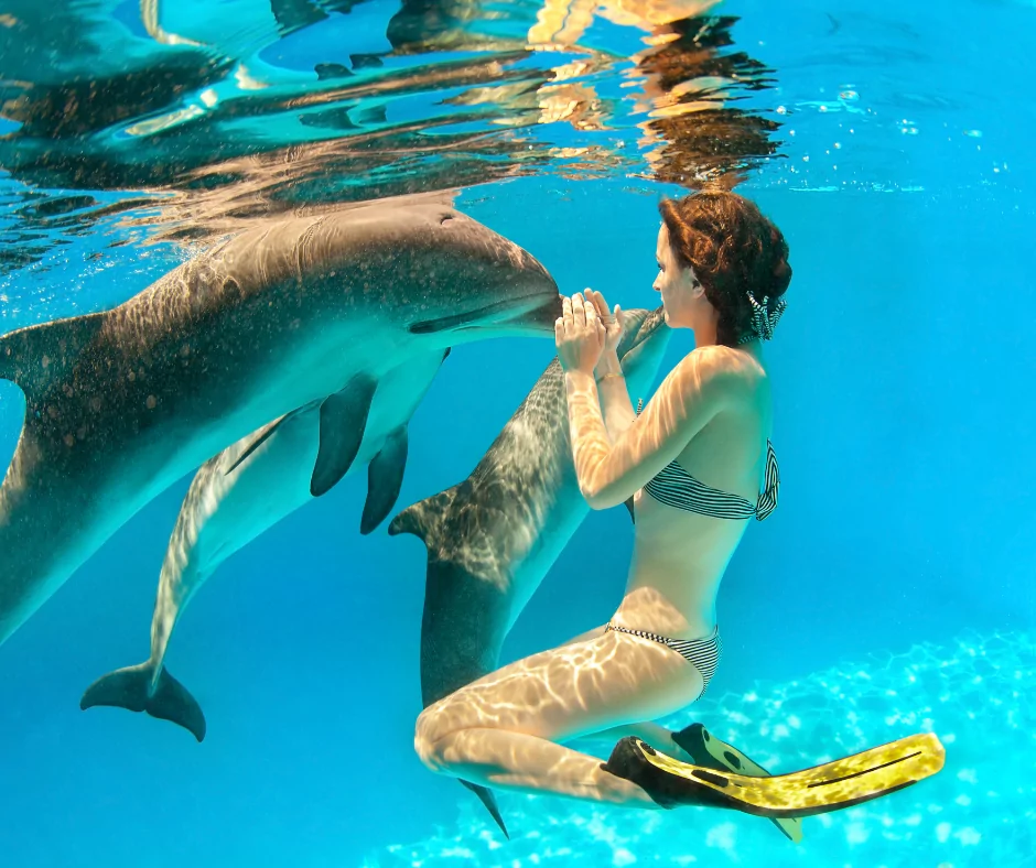 Girl free-diving with a pod of dolphins