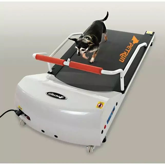 treadmills gopet petrun pr700 treadmill for small dogs I Love Veterinary - Blog for Veterinarians, Vet Techs, Students