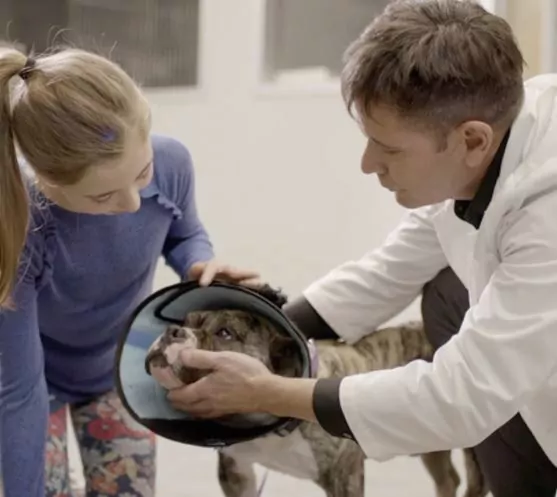 Dr. Chris Carpenter with vet tech and dog - I Love Veterinary