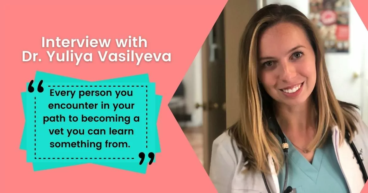Interview with Dr. Yuliya Vasilyeva - LEARN FROM EVERYONE