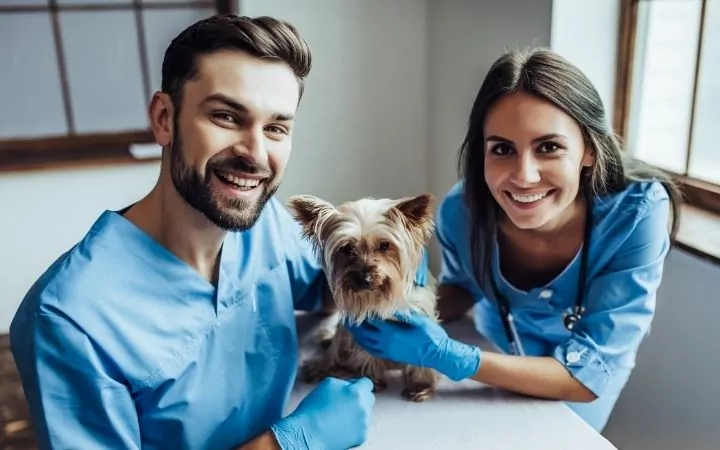 Veterinarians and Yorkie at vet clinic - I Love Veterinary