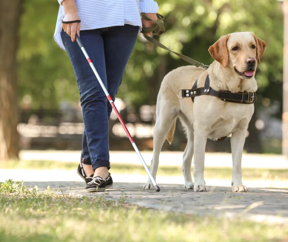 international guide dogs day
