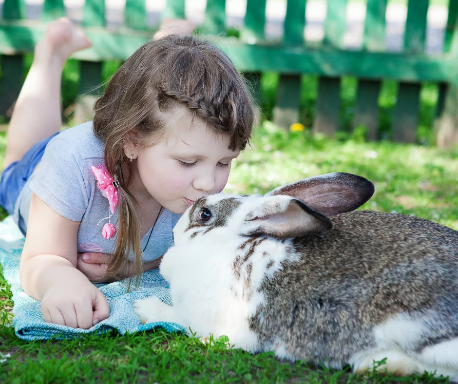 little girl lying on the grass kissing her pet rabbit