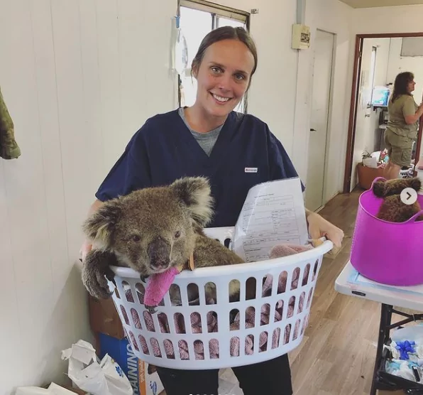 Dr. Chloe Buiting with koala in vet clinic - I Love Veterinary