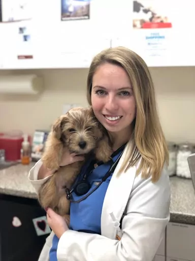 Dr. Yuliya Vasilyeva with dog patient at vet clinic - I Love Veterinary