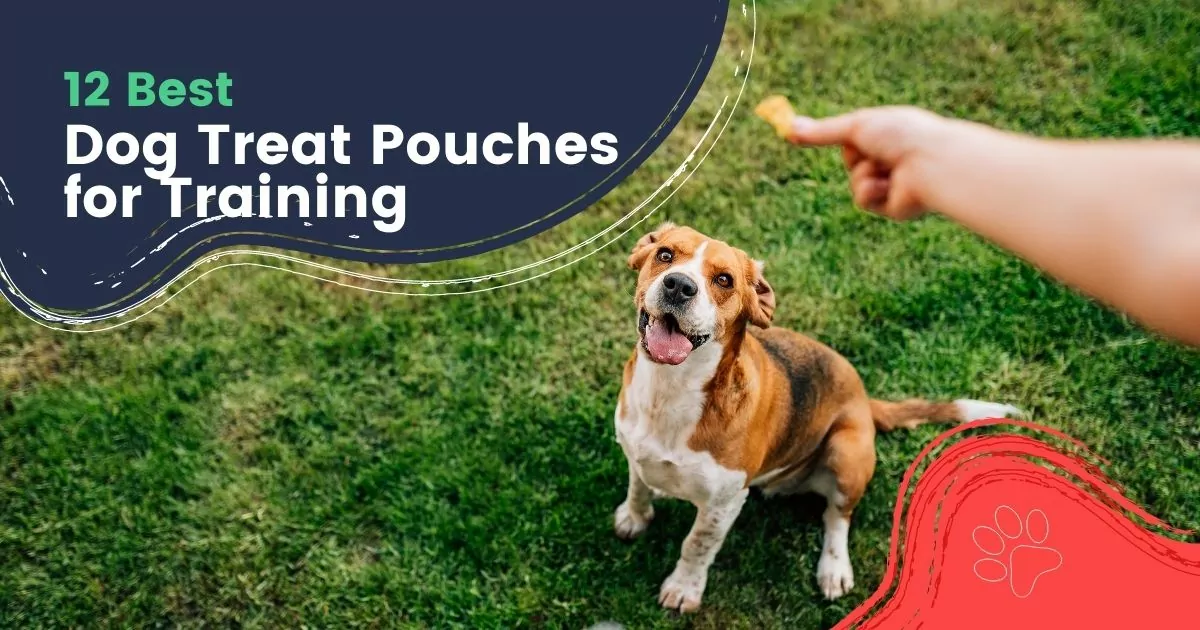 12 Best Dog Treat Pouches for Training