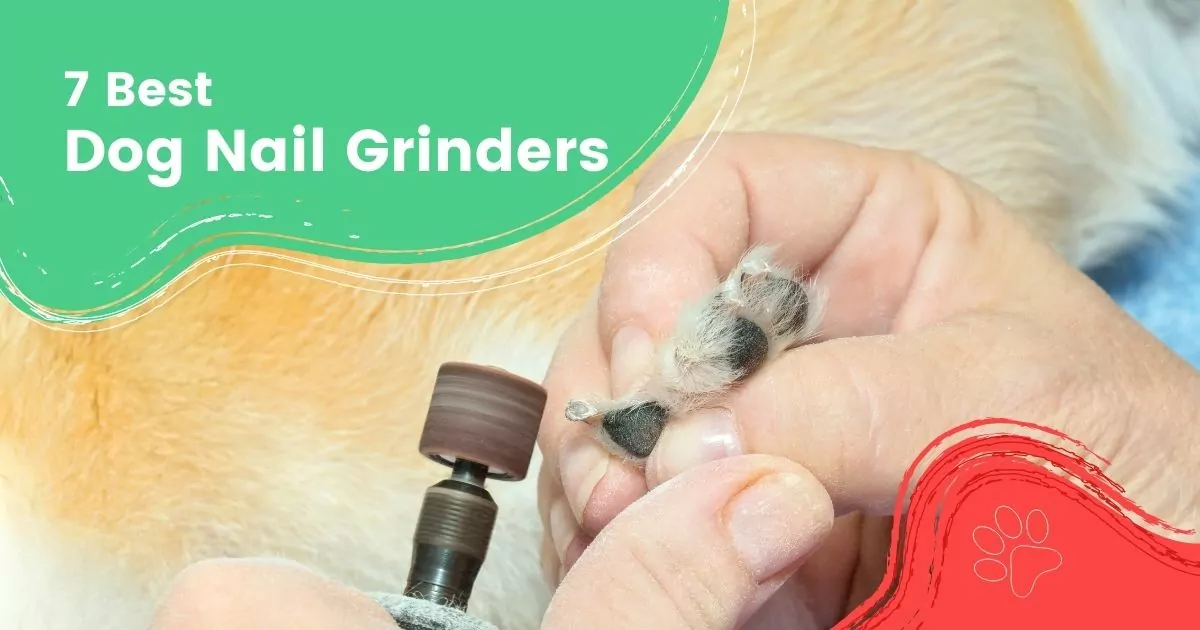 7 Best Dog Nail Grinders by I Love Veterinary