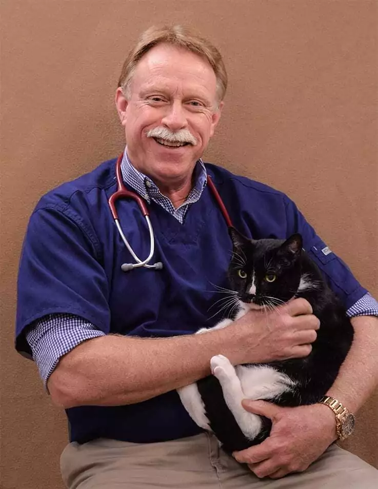 Vet Clinic of the Week La Crosse Veterinary Clinic staff, vet Dave with a cat - I Love Veterinary