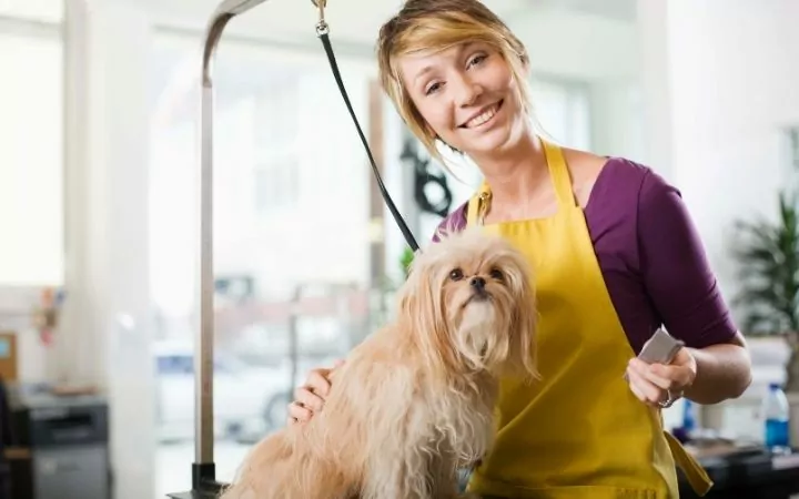 Female groomer with a dog - I Love Veterinary