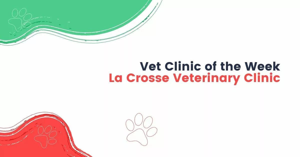 Vet Clinic of the Week La Crosse Veterinary Clinic - I Love Veterinary