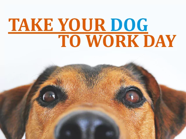 take your dog to work day banner