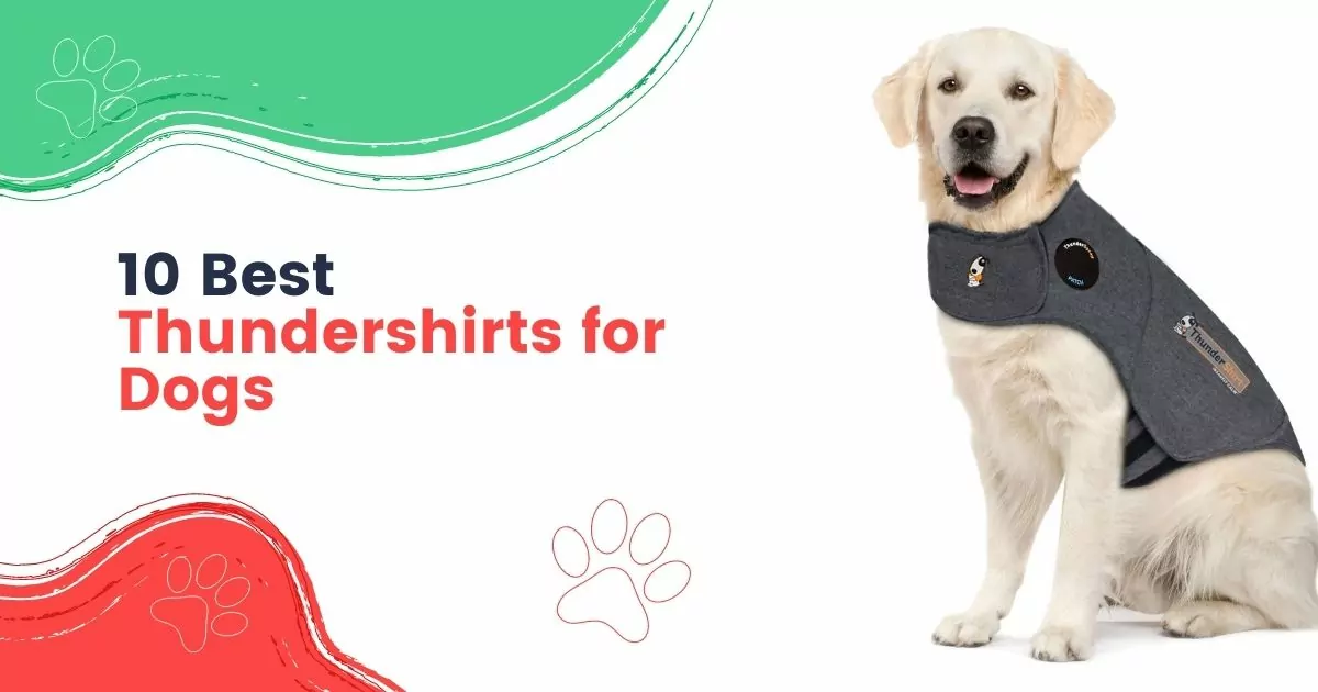 Thundershirts for Dogs