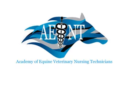 The Academy of Equine Veterinary Nursing Technicians