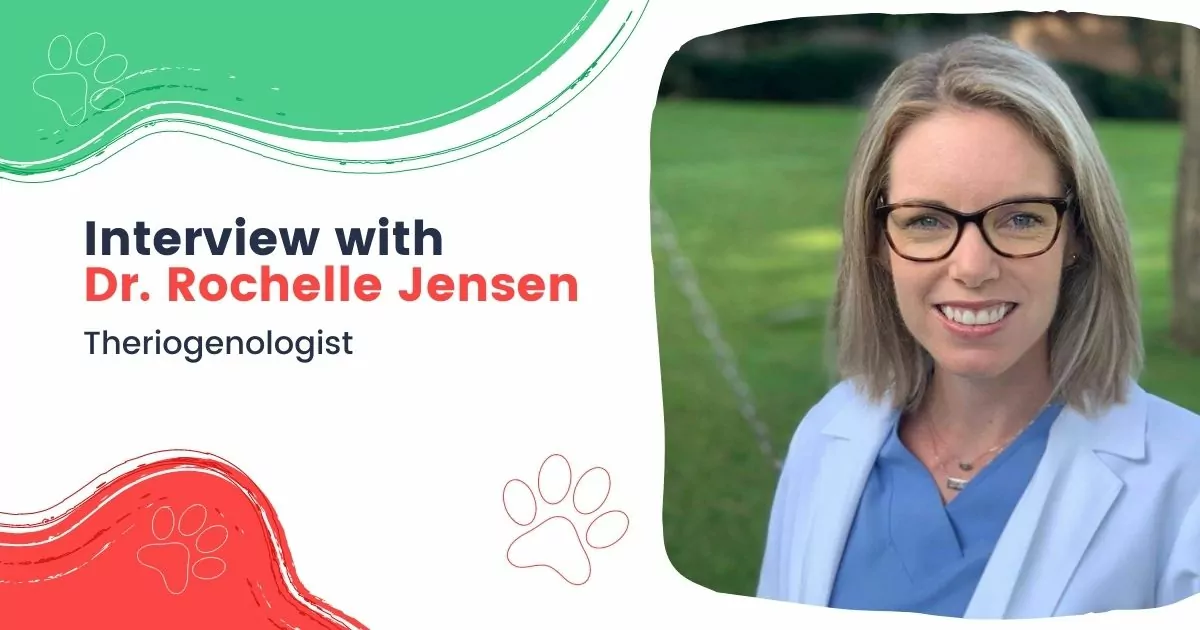 Interview with Dr. Rochelle Jensen