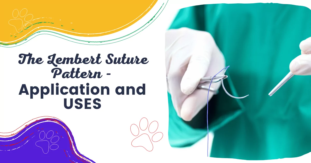 lembert suture