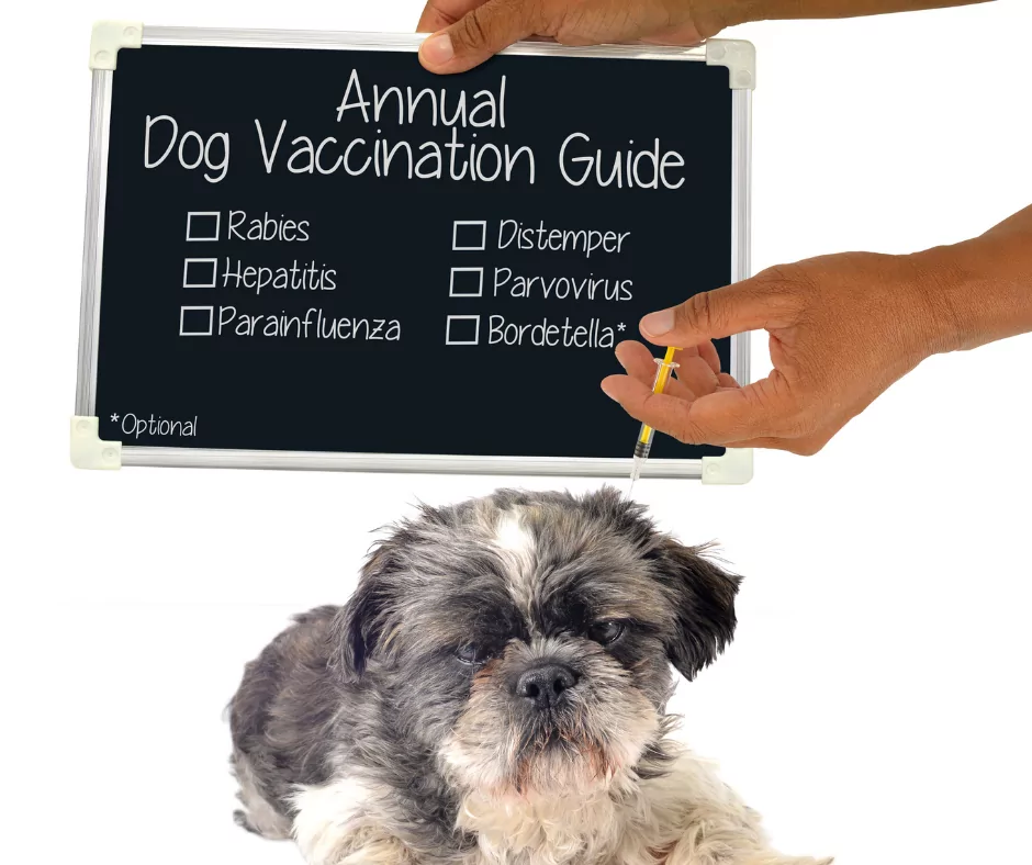 dog vaccines