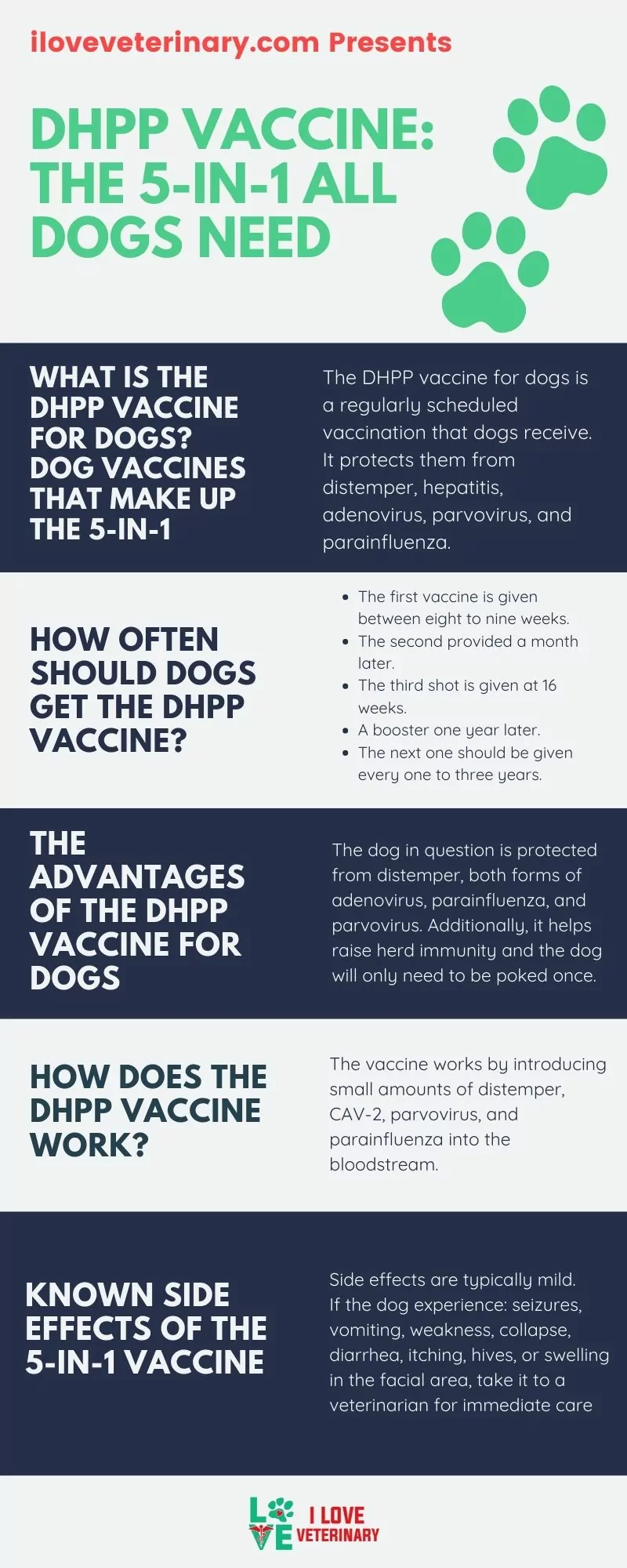 DHPP Vaccine: The 5-in-1 All Dogs Need