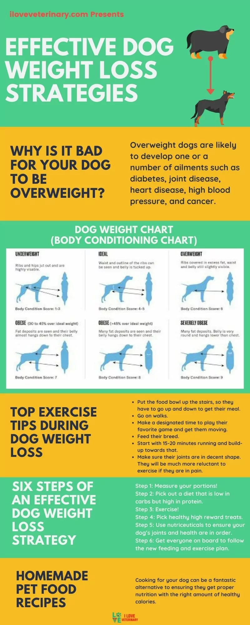Effective Dog Weight Loss Strategies I Love Veterinary - Blog for Veterinarians, Vet Techs, Students