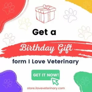 obtenez un cadeau d'anniversaire de I Love vétérinaire