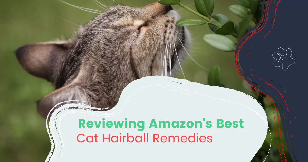 Cat Hairball Remedies