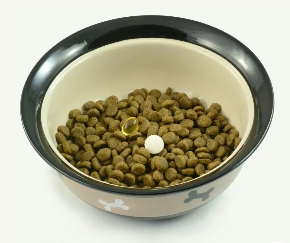 glucosamine in dog food bowl