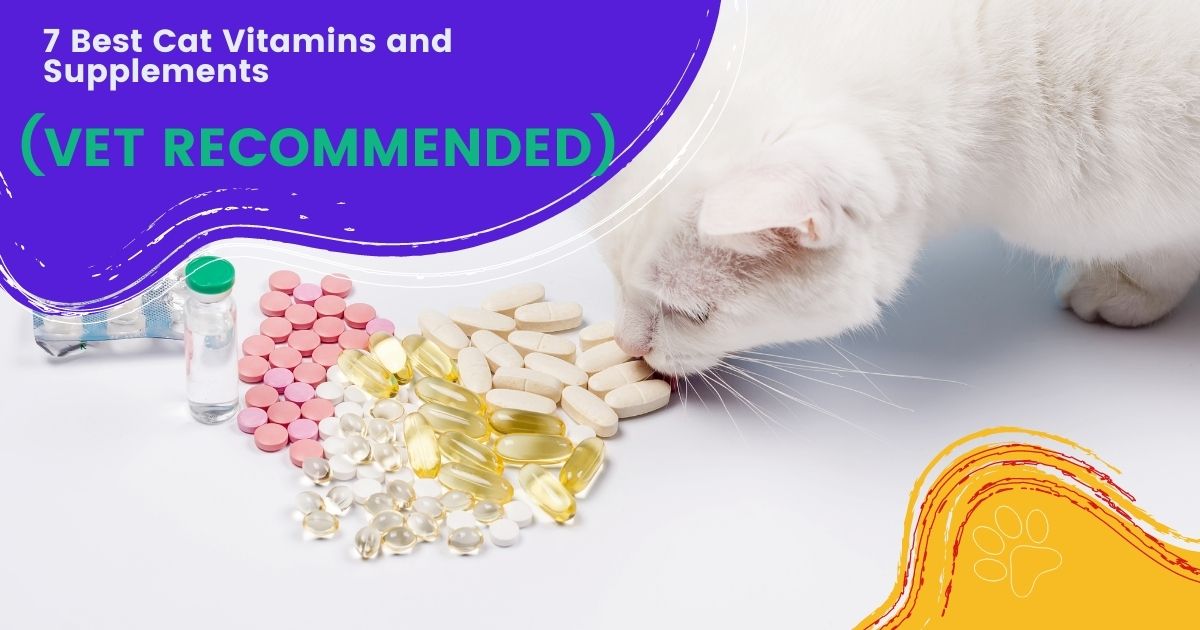 best cat supplements