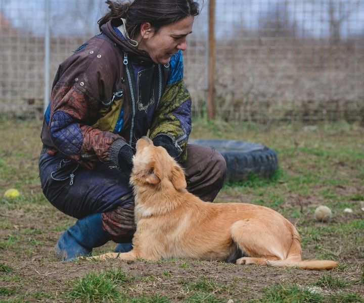A Career Spotlight on The Animal Psychology Field - I Love Veterinary -  Blog for Veterinarians, Vet Techs, Students