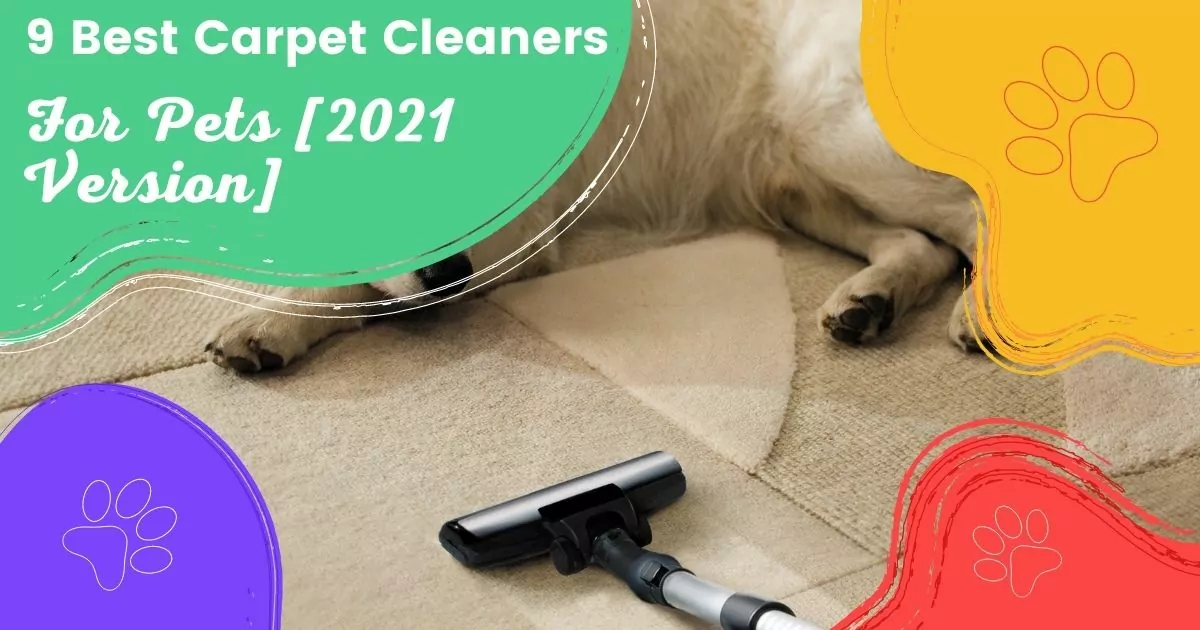 best carpet cleaners for pets