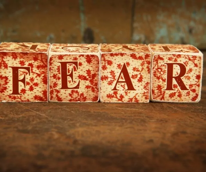 fear free certification