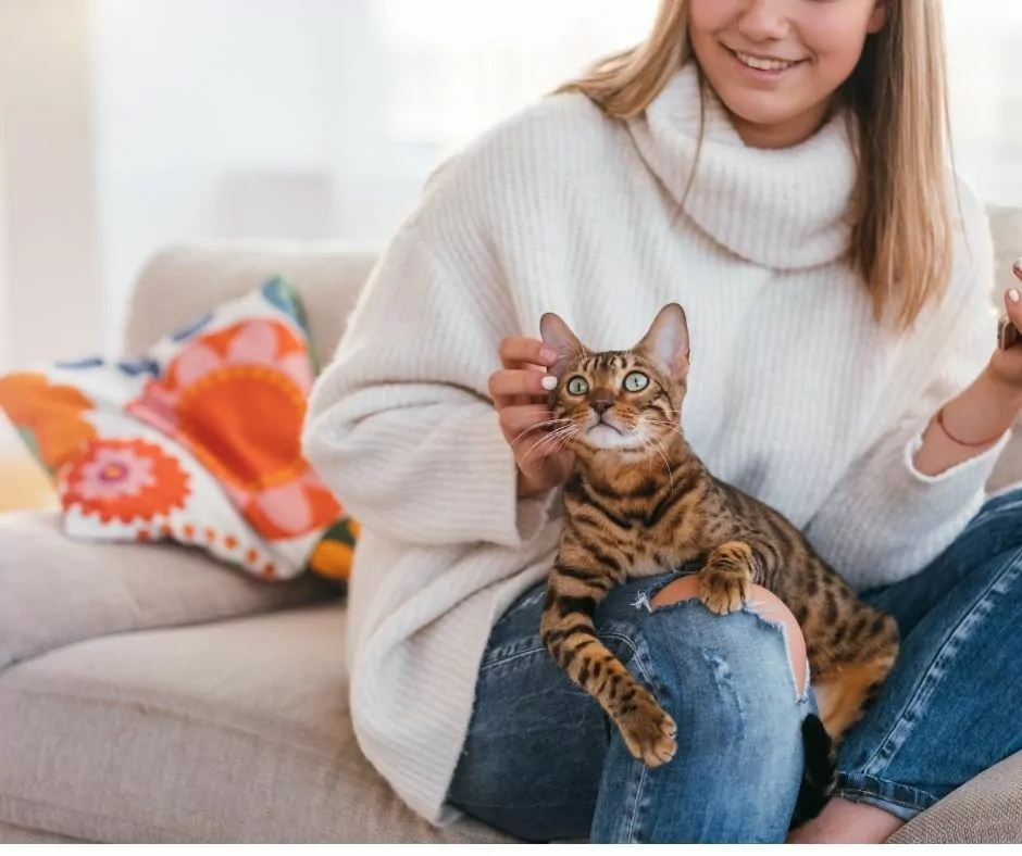 blonde woman with bengal cat on her lap