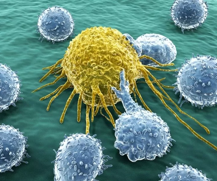 visual representation of cancer cells