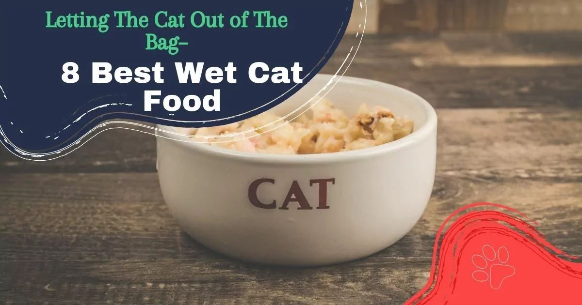 best wet cat food