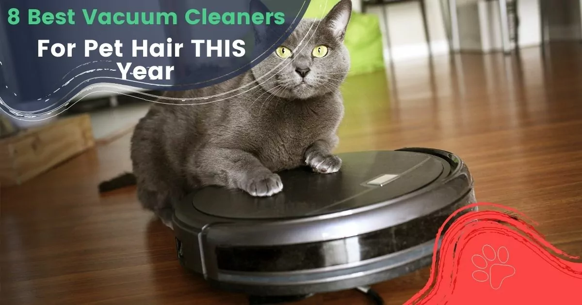 best vacuum cleaners for pet hair