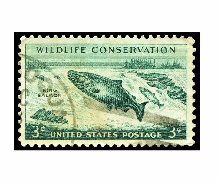 world wildlife conservation day stamp