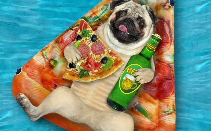 pug in pool lying on pizza shaped floatation device