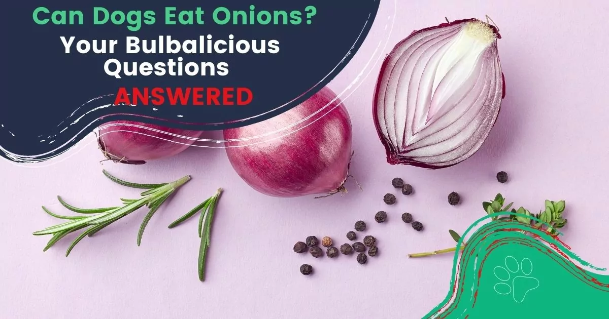 can dogs eat onions?