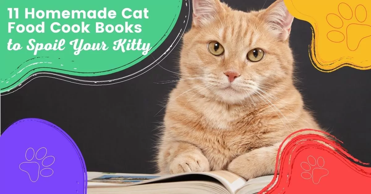 11 Homemade Cat Food Cook Books