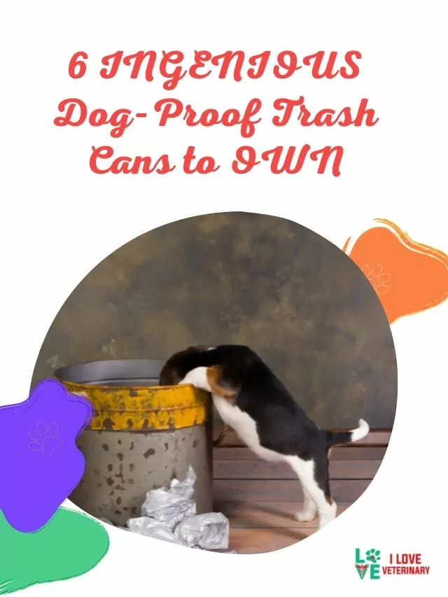 6 INGENIOUS Dog-Proof Trash Cans to OWN