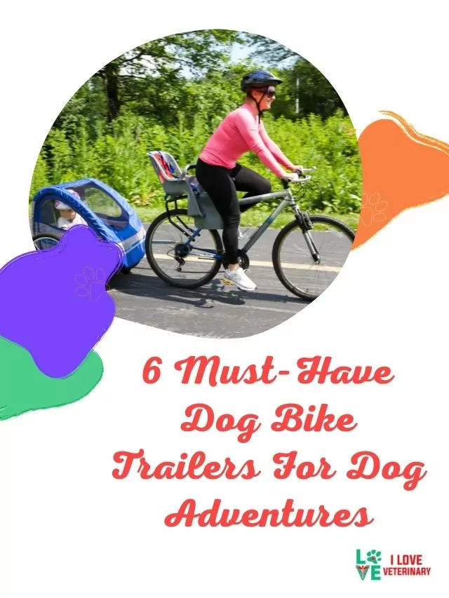 6 Must-Have Dog Bike Trailers For Dog Adventures