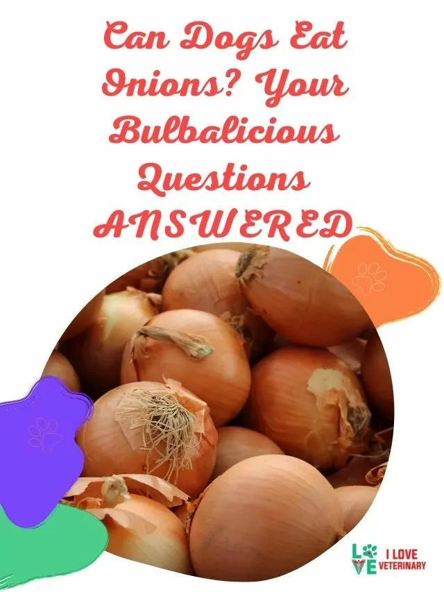 Can Dogs Eat Onions? Your Bulbalicious Questions ANSWERED