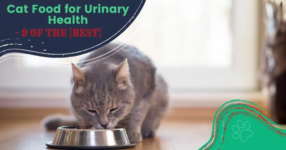 cat food for urinary health