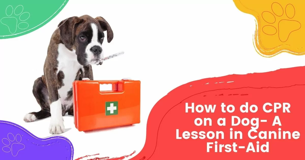 how to do cpr on a dog