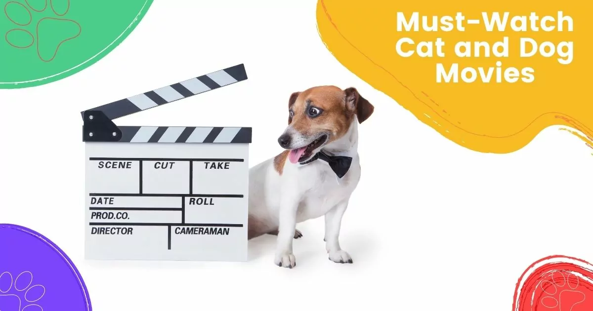 cat and dog movies