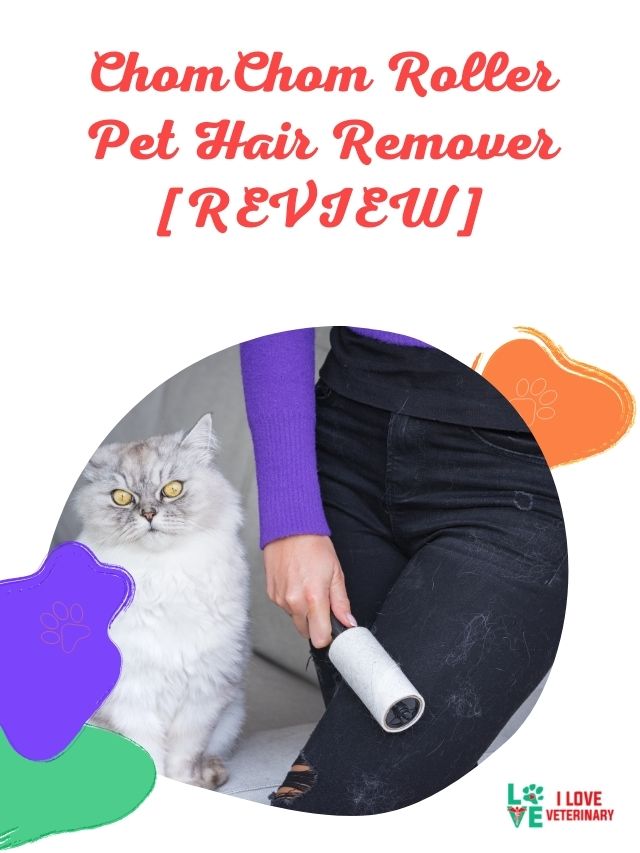ChomChom Roller Pet Hair Remover [REVIEW] - I Love Veterinary - Blog for  Veterinarians, Vet Techs, Students