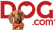 2021 DOG LOGO Spring I Love Veterinary - Blog para veterinarios, técnicos veterinarios, estudiantes