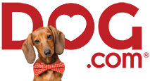 2021 DOG LOGO Spring I Love Veterinary - Blog for Veterinarians, Vet Techs, Students
